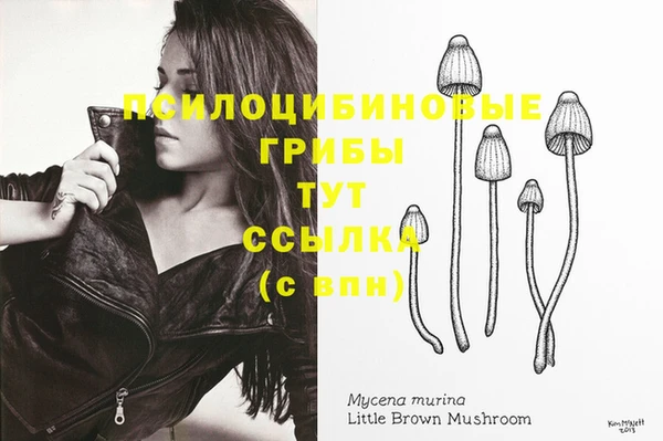 mdpv Вязьма