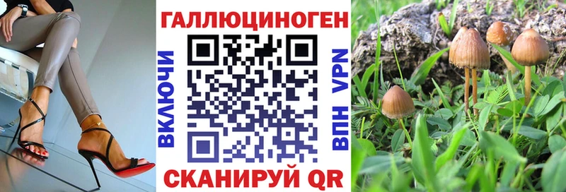 Псилоцибиновые грибы мухоморы Озёрск